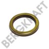 IVECO 40100960 Shaft Seal, differential